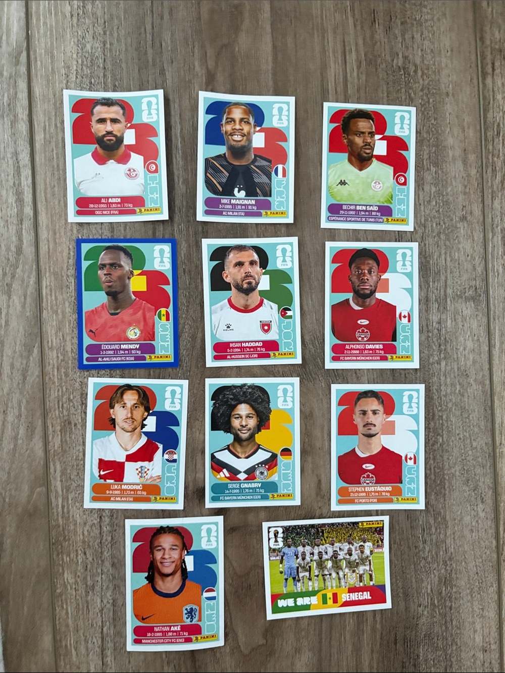 FIFA World Cup Panini Football stickers